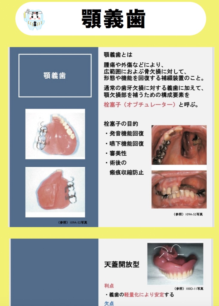 【しかちゃんコラボ】第2弾!補綴・矯正・麻酔・理工・生理のPDF&Anki