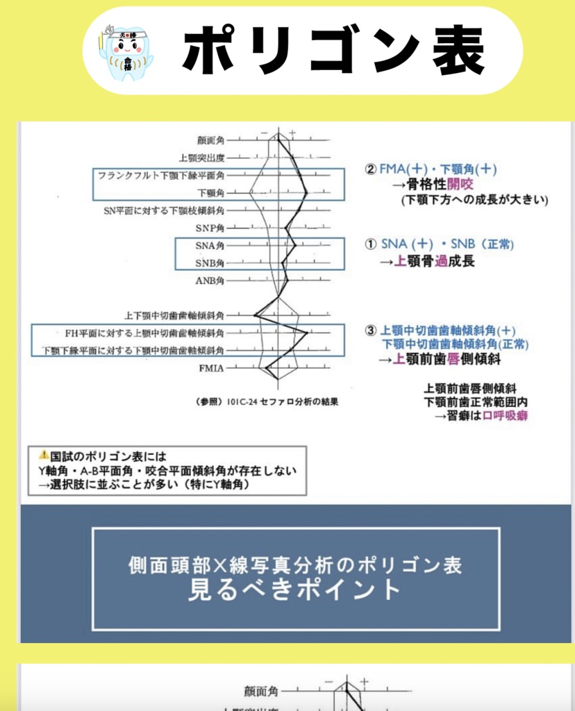 【しかちゃんコラボ】第2弾!補綴・矯正・麻酔・理工・生理のPDF&Anki