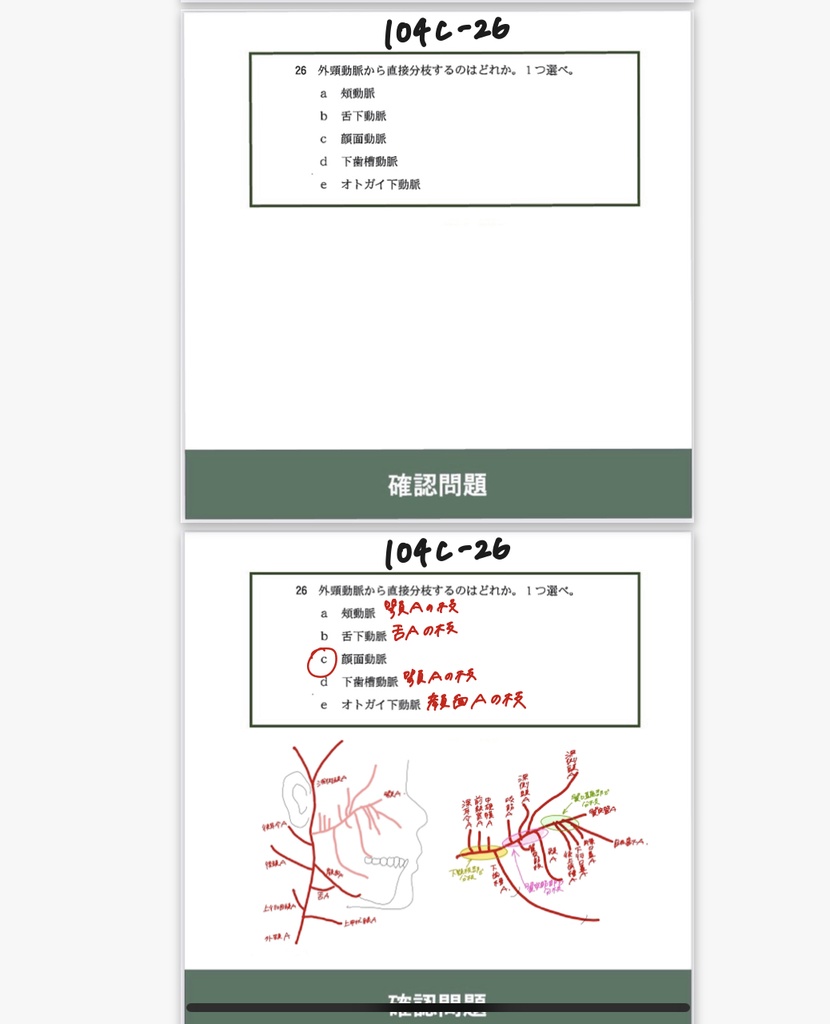 【しかちゃんコラボ】第3弾 しかちゃんの解説 PDF&Anki