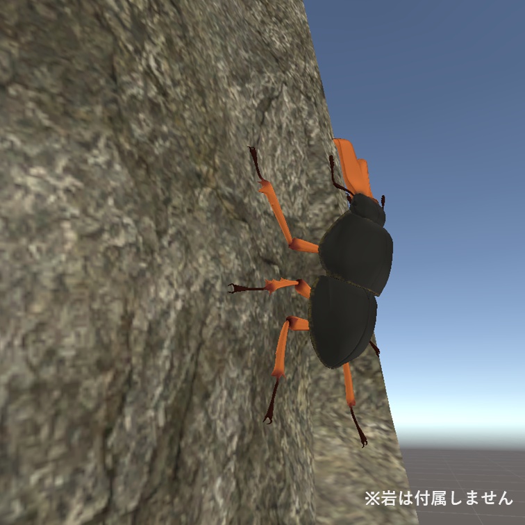 プリモスマルガタクワガタ