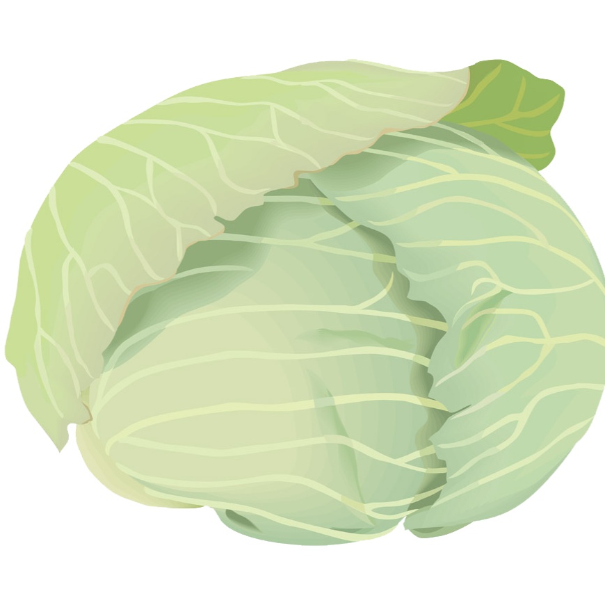 【FaceRig用アバター】【野菜】キャベツ