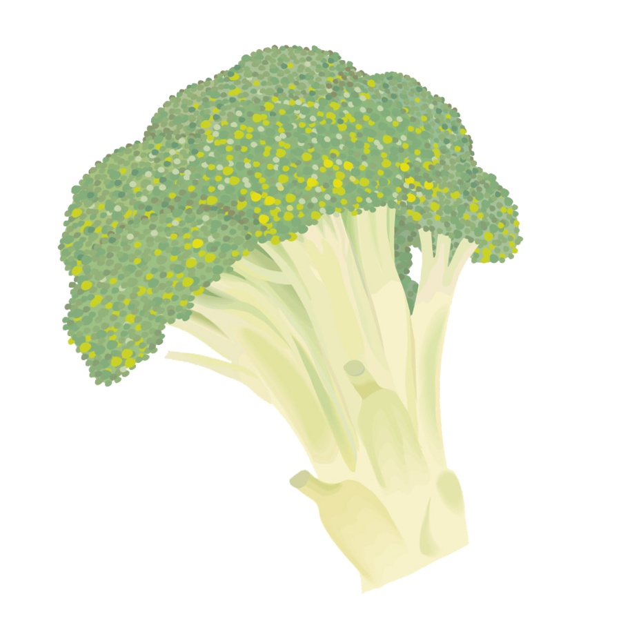 【FaceRig用アバター】【野菜】ブロッコリー