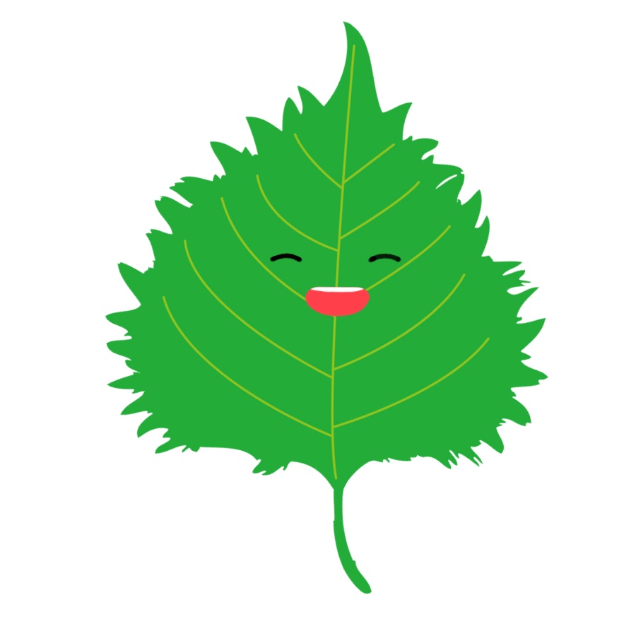 【FaceRig用アバター】【野菜】大葉