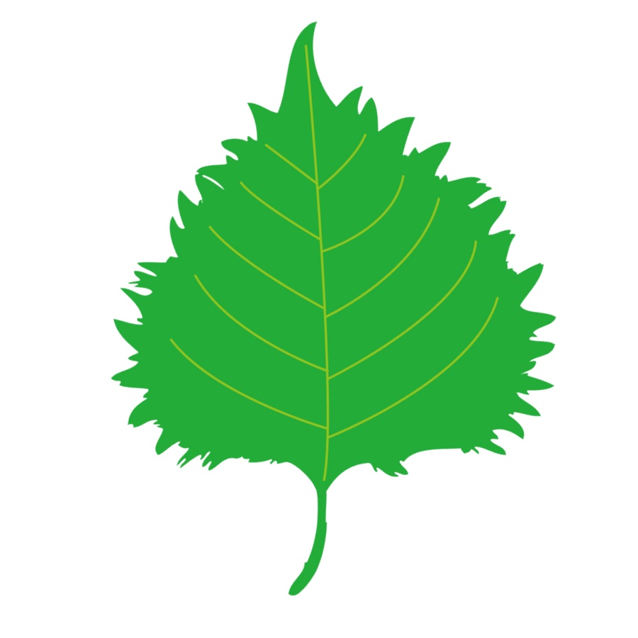 【FaceRig用アバター】【野菜】大葉