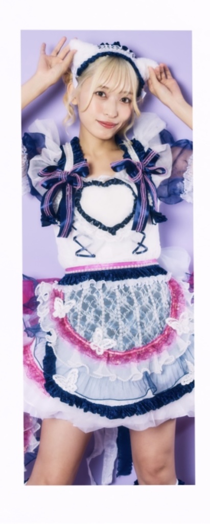 でかいタオル(40×110)