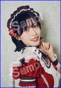 ブロマイドセット