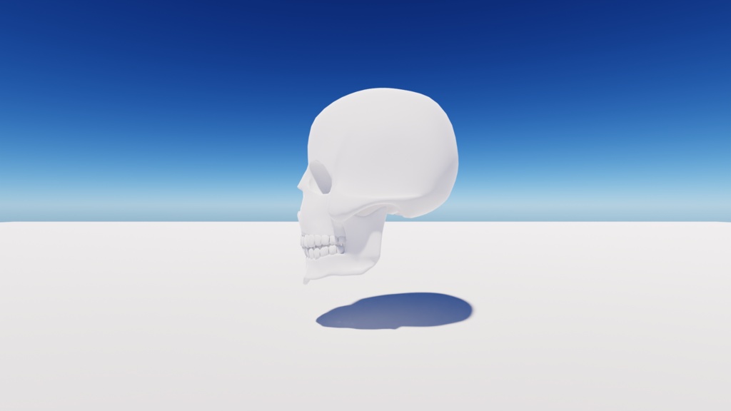 頭蓋骨(スカル)