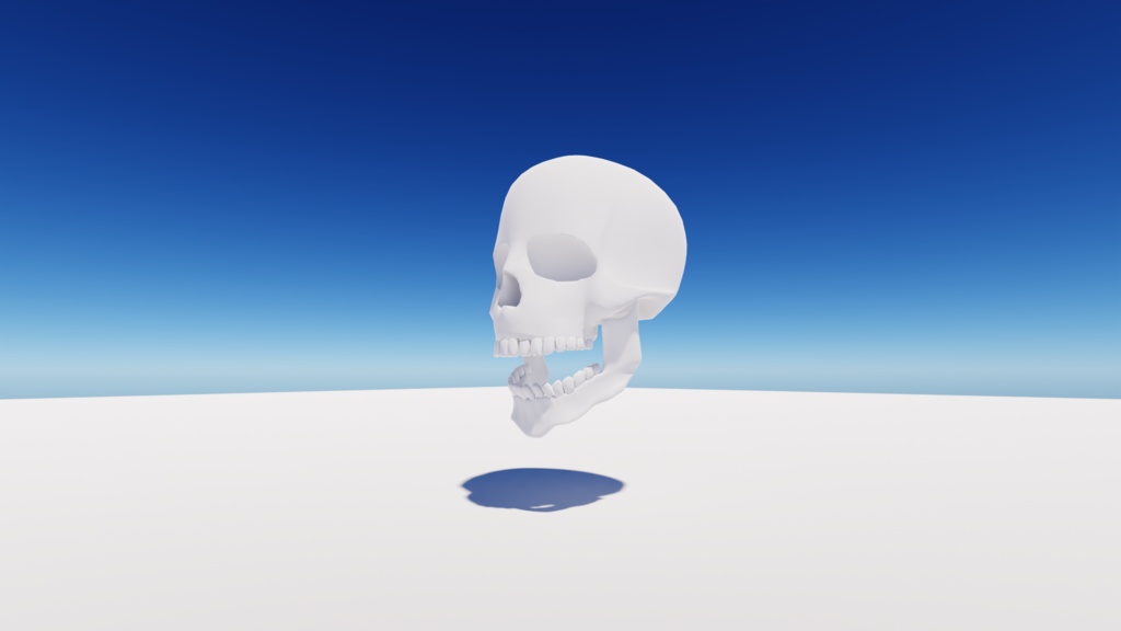 頭蓋骨(スカル)