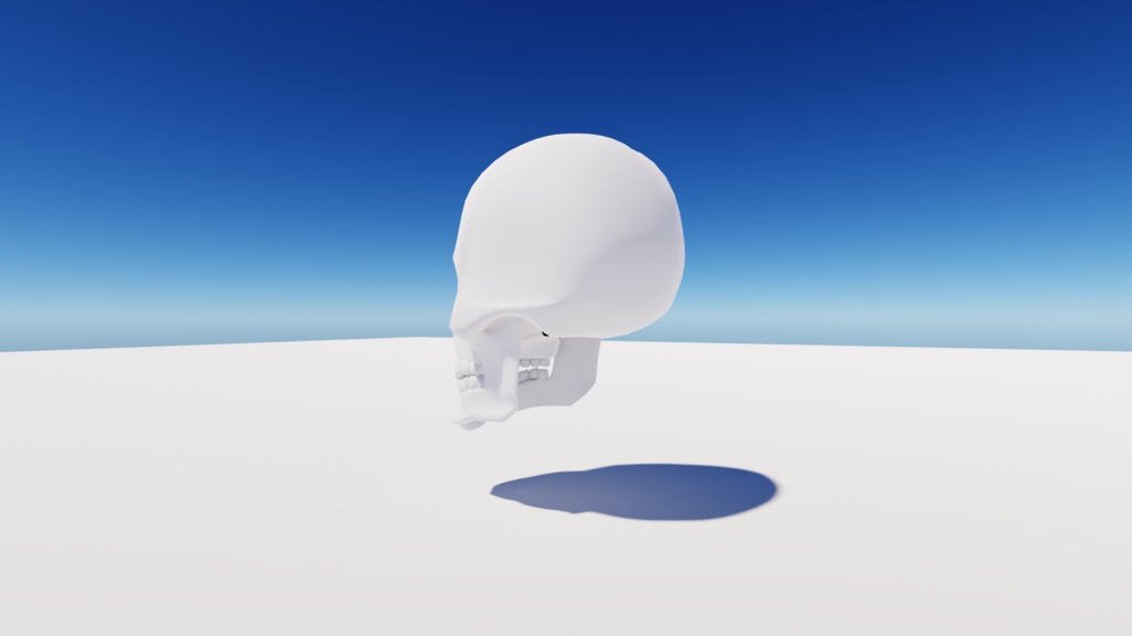 頭蓋骨(スカル)