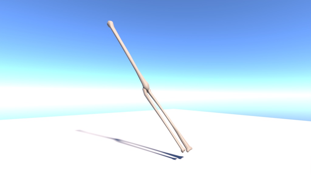 腕の骨(上腕骨&尺骨、橈骨)