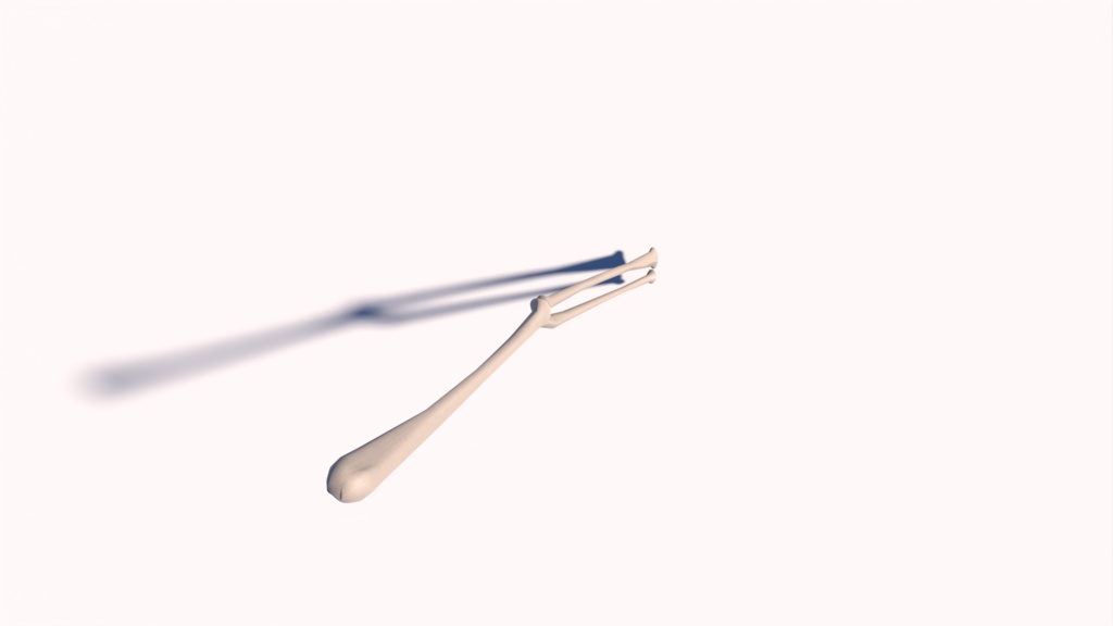 腕の骨(上腕骨&尺骨、橈骨)