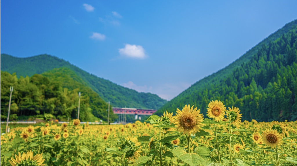 「碧空 2022 ver.」off vocal.