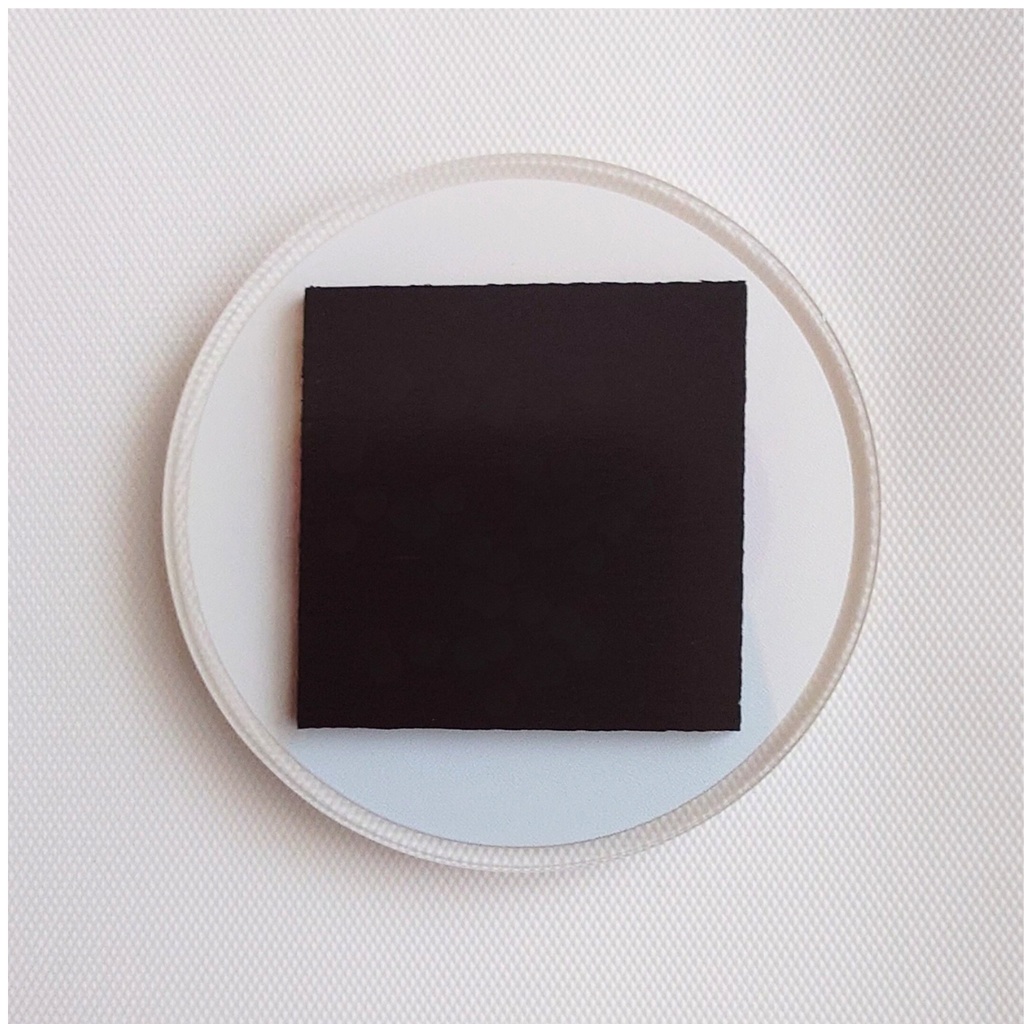 レッサーパンダ まんまるマグネット