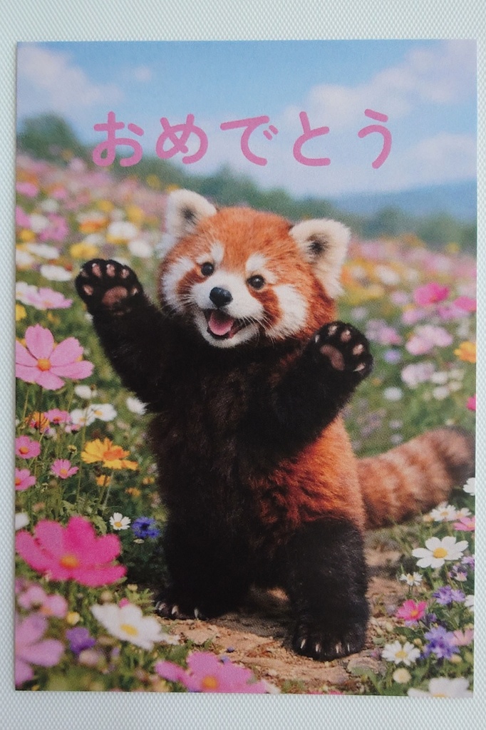 お花畑メッセージカード(おめでとう)