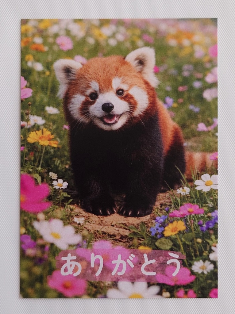 お花畑のメッセージカード(ありがとう)