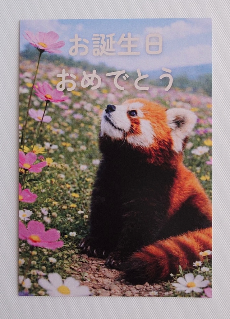 お花畑のメッセージカード(お誕生日おめでとう)