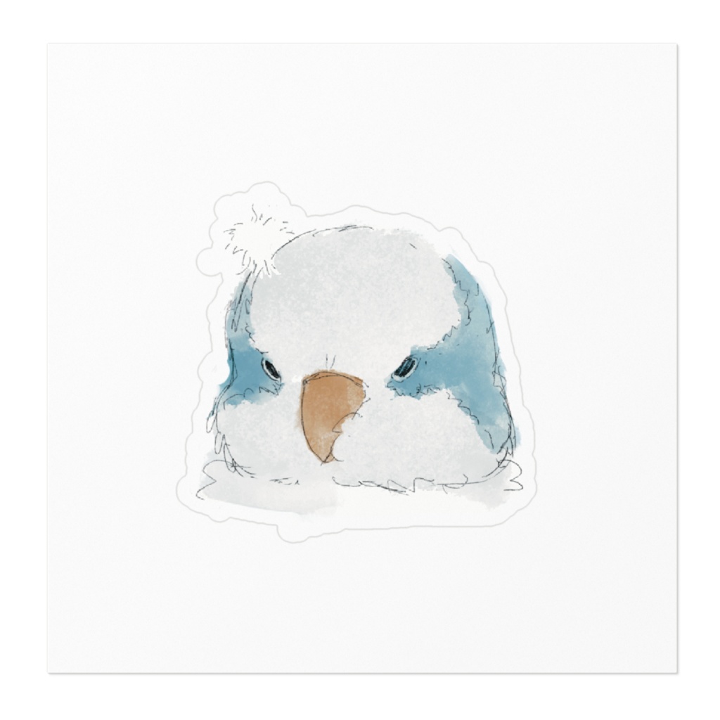 ほわ毛オキナインコ ブルー