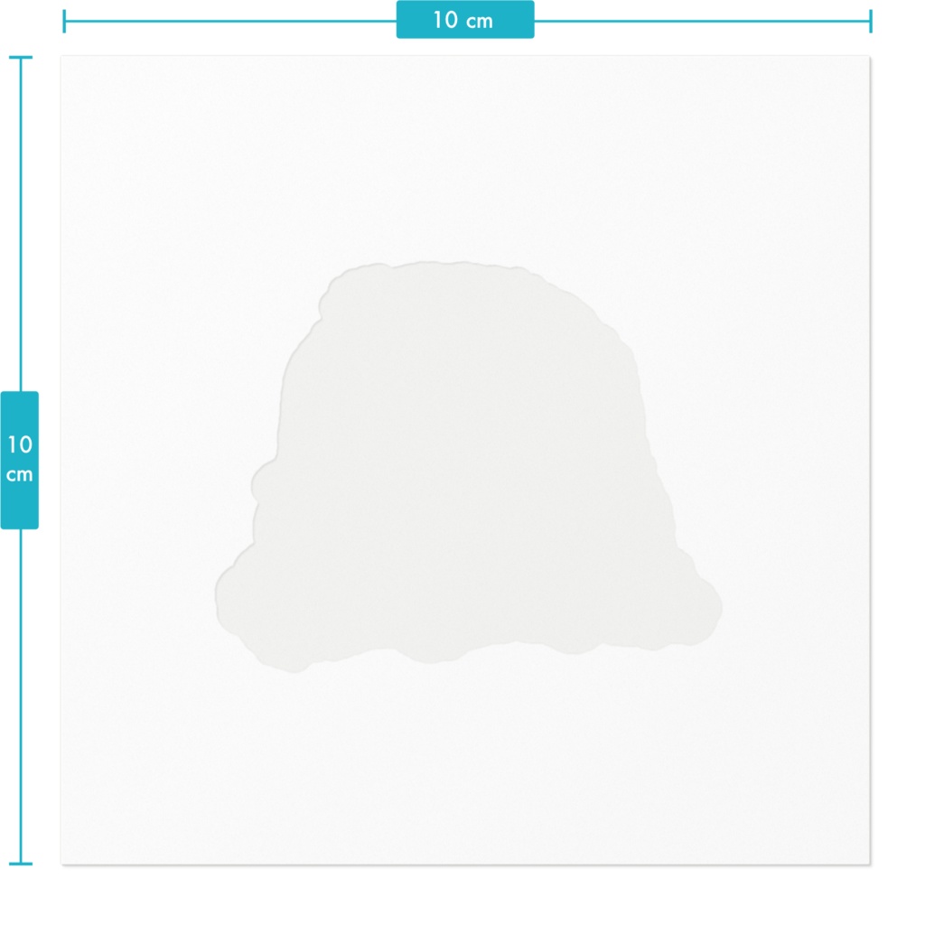 もぐもぐオキナインコ ブルー