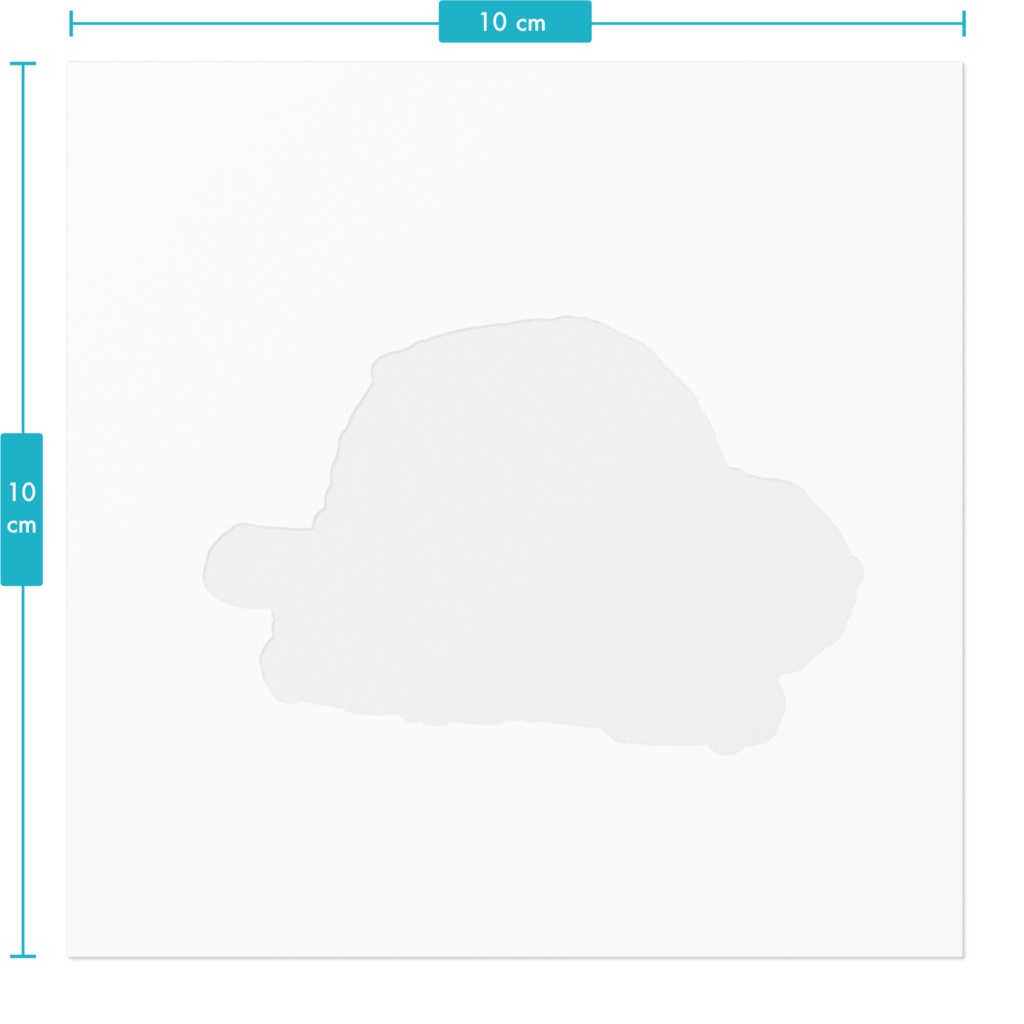 遊びたいオキナインコ ルチノー