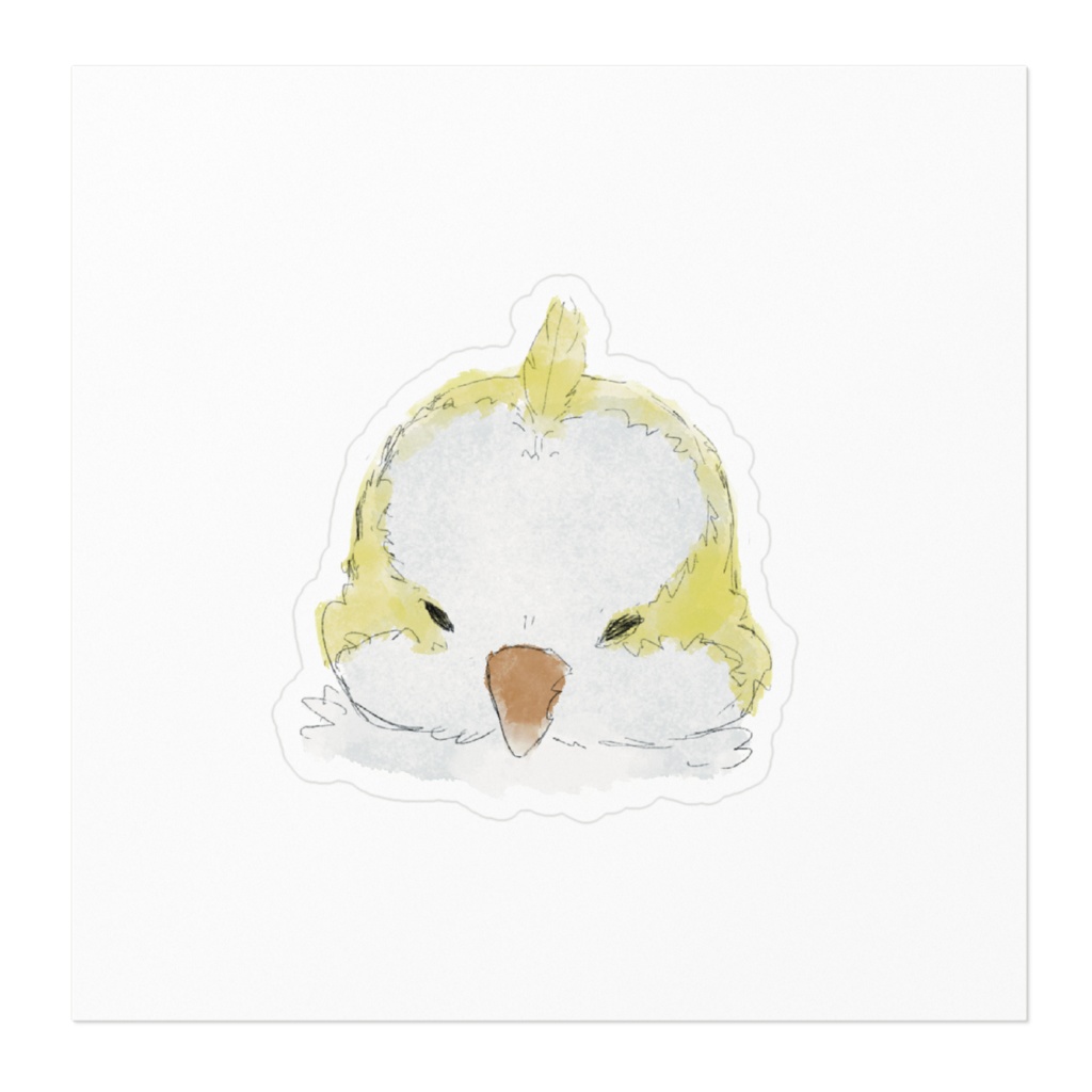 ちょんまげオキナインコ ルチノー