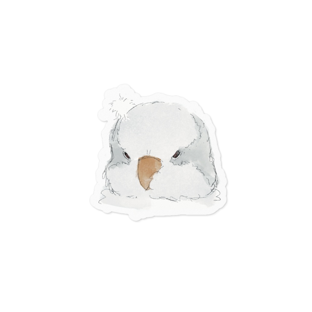 ほわ毛オキナインコ アルビノ