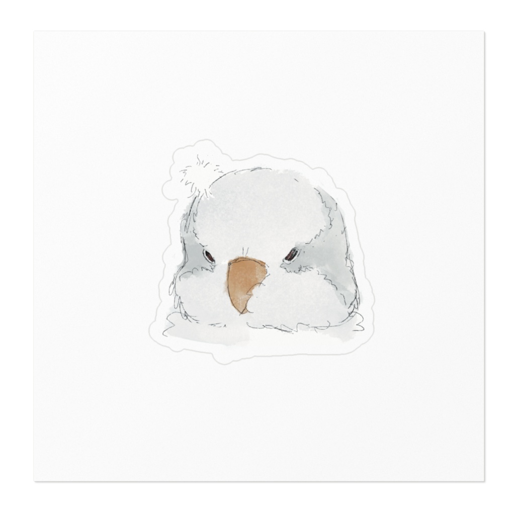 ほわ毛オキナインコ アルビノ