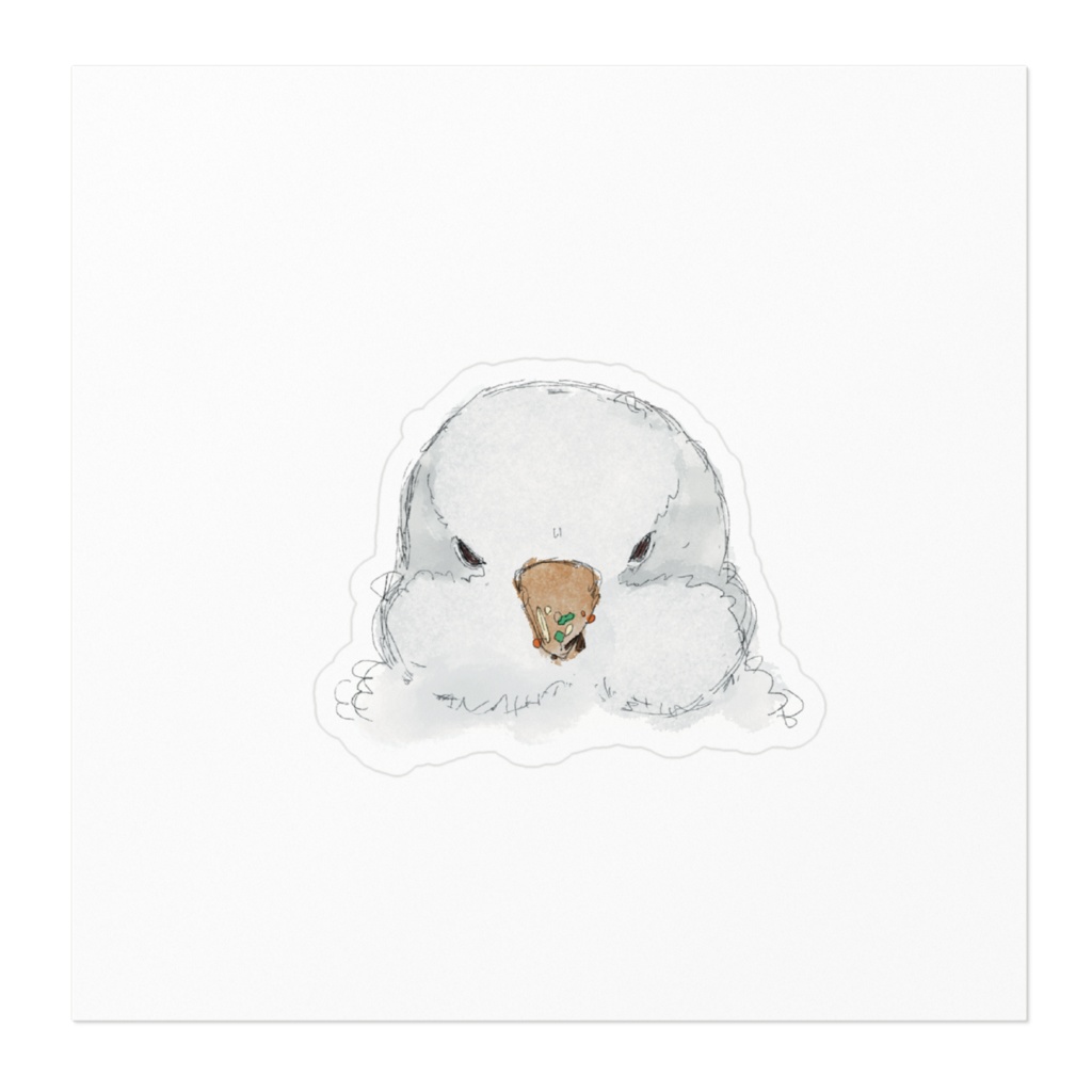 もぐもぐオキナインコ アルビノ