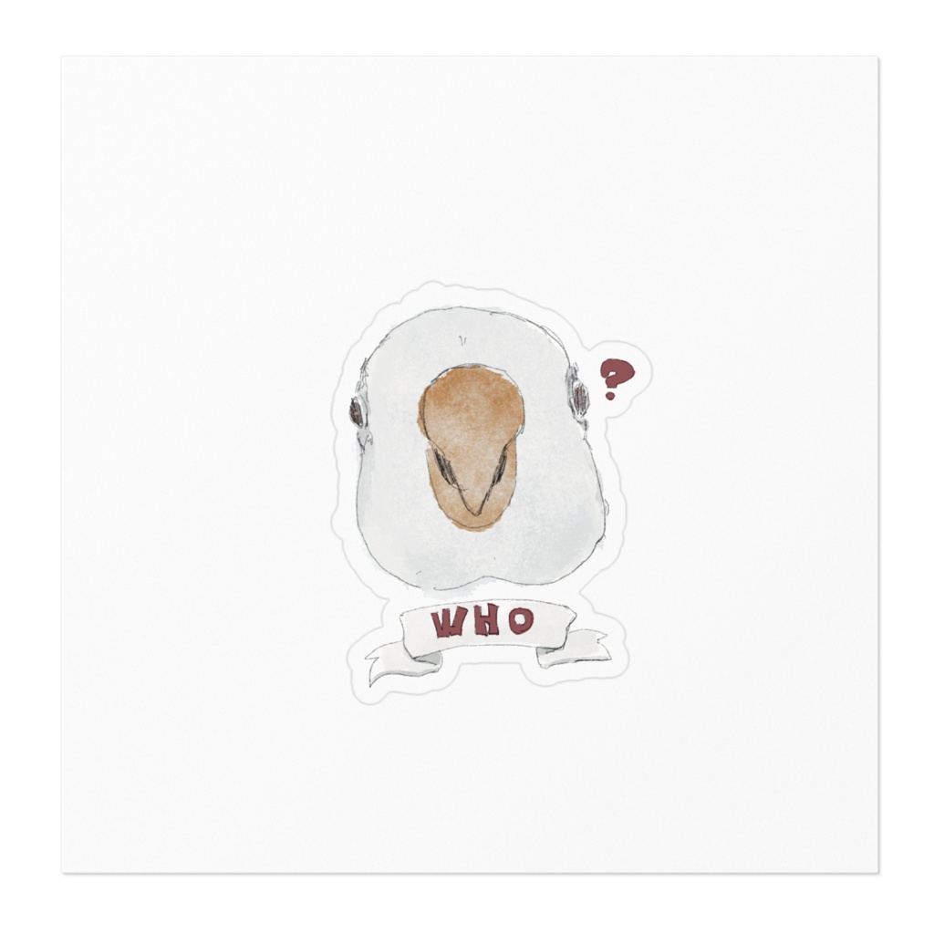 細長オキナインコ アルビノ