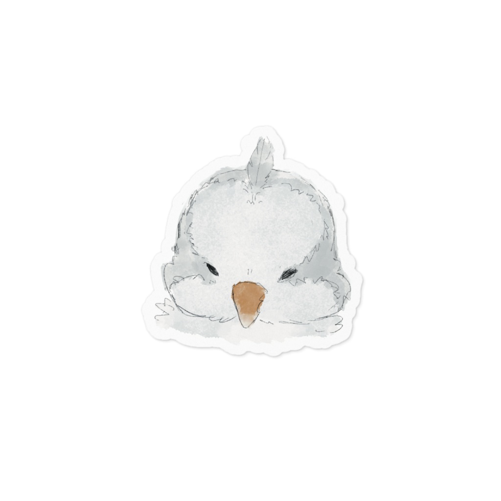 ちょんまげオキナインコ アルビノ