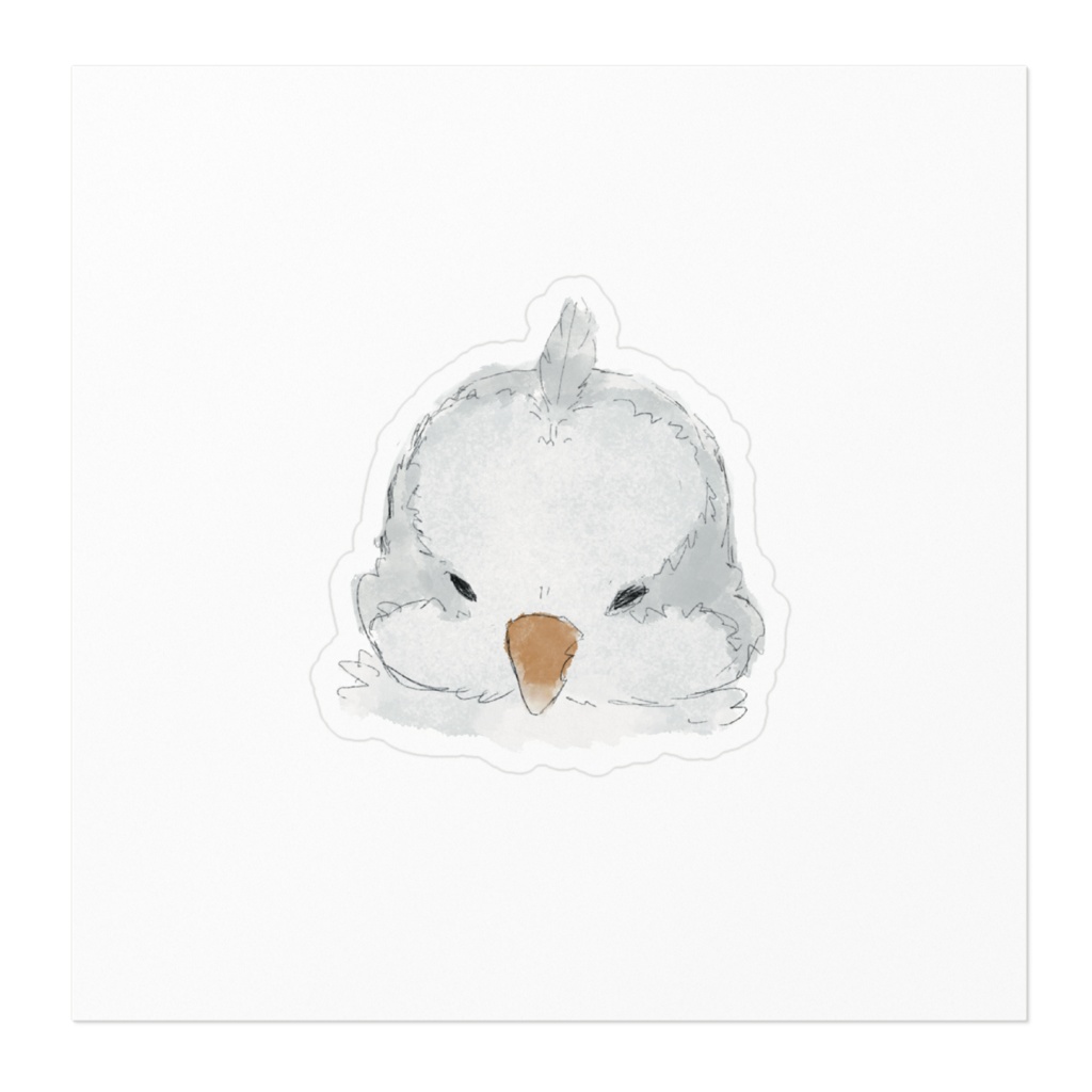 ちょんまげオキナインコ アルビノ