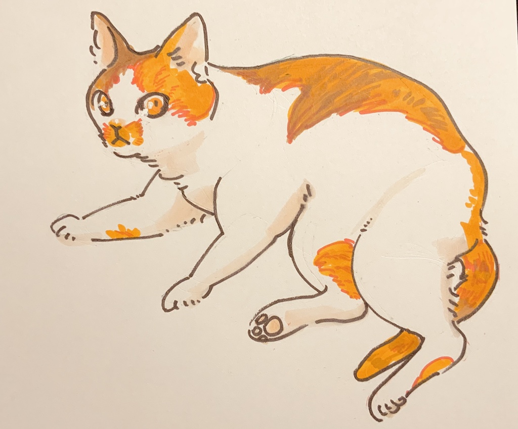 もち