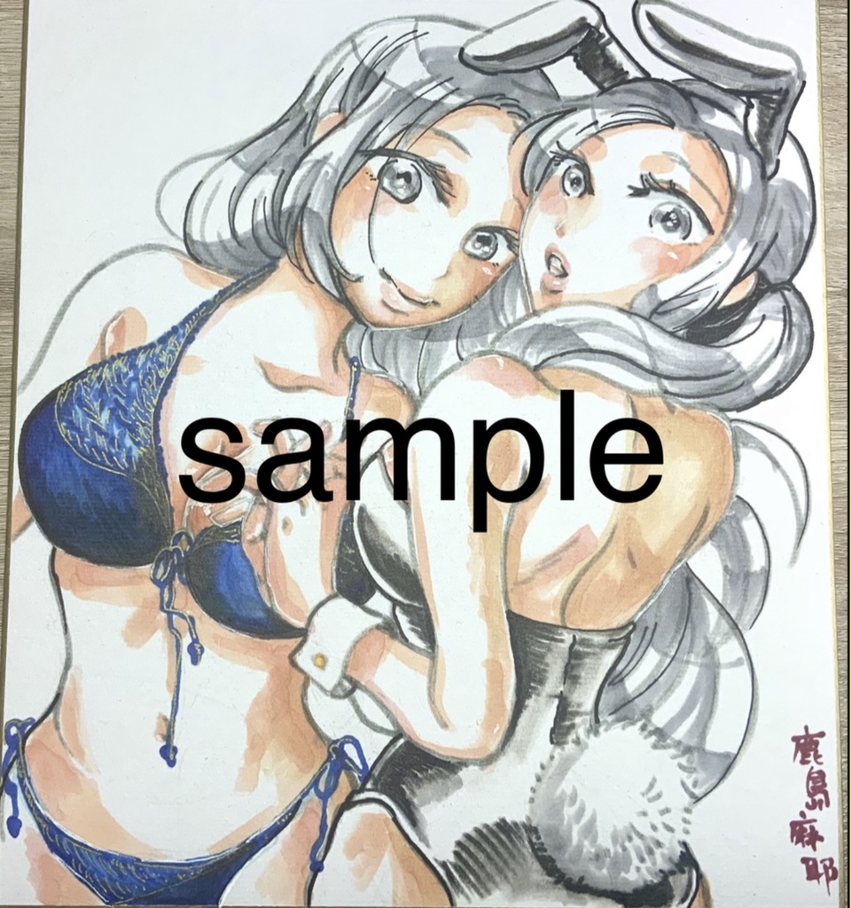 中くらいサイズ色紙 依頼イラスト受付 21✖️18サイズ