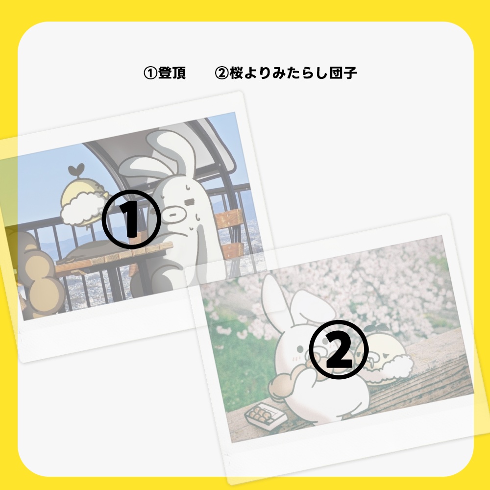 【New!】チェキ