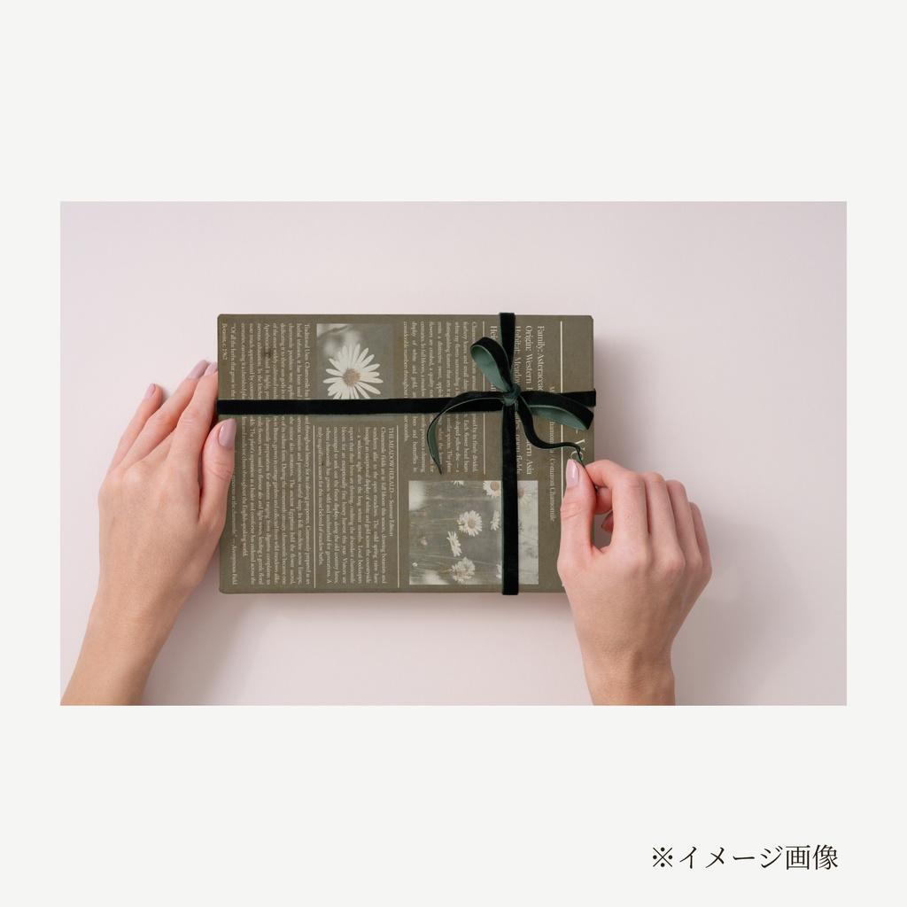 ラッピングペーパー カモミール【こげ茶】