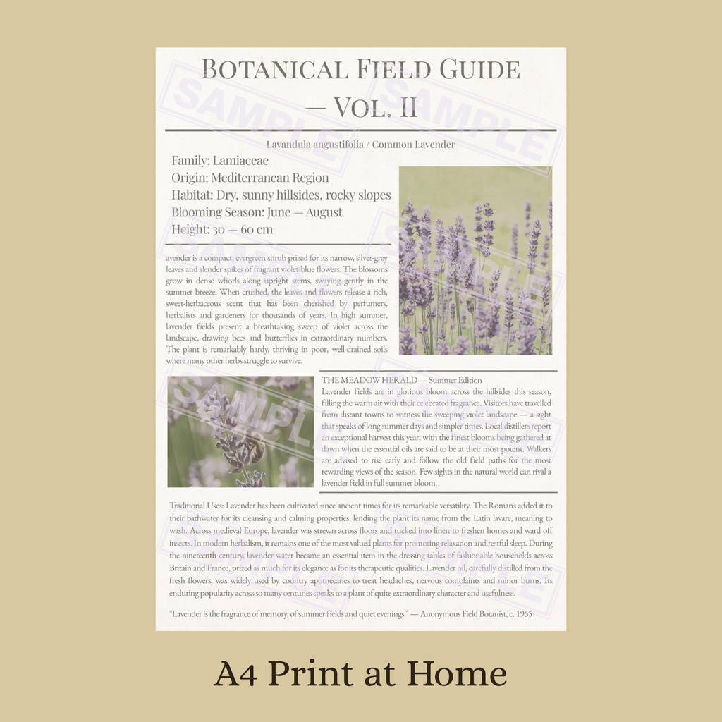 ラッピングペーパー ラベンダー【白】