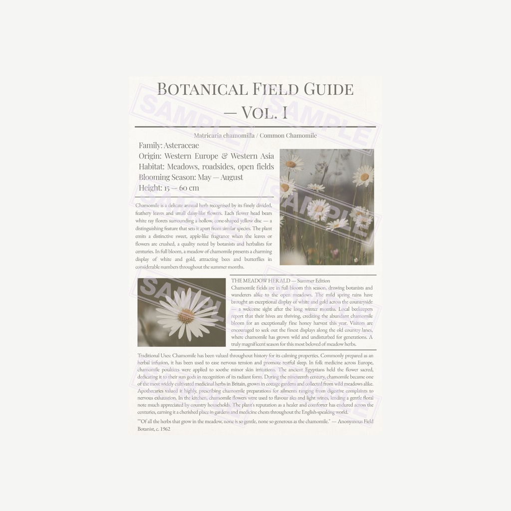 ラッピングペーパー カモミール 3色セット