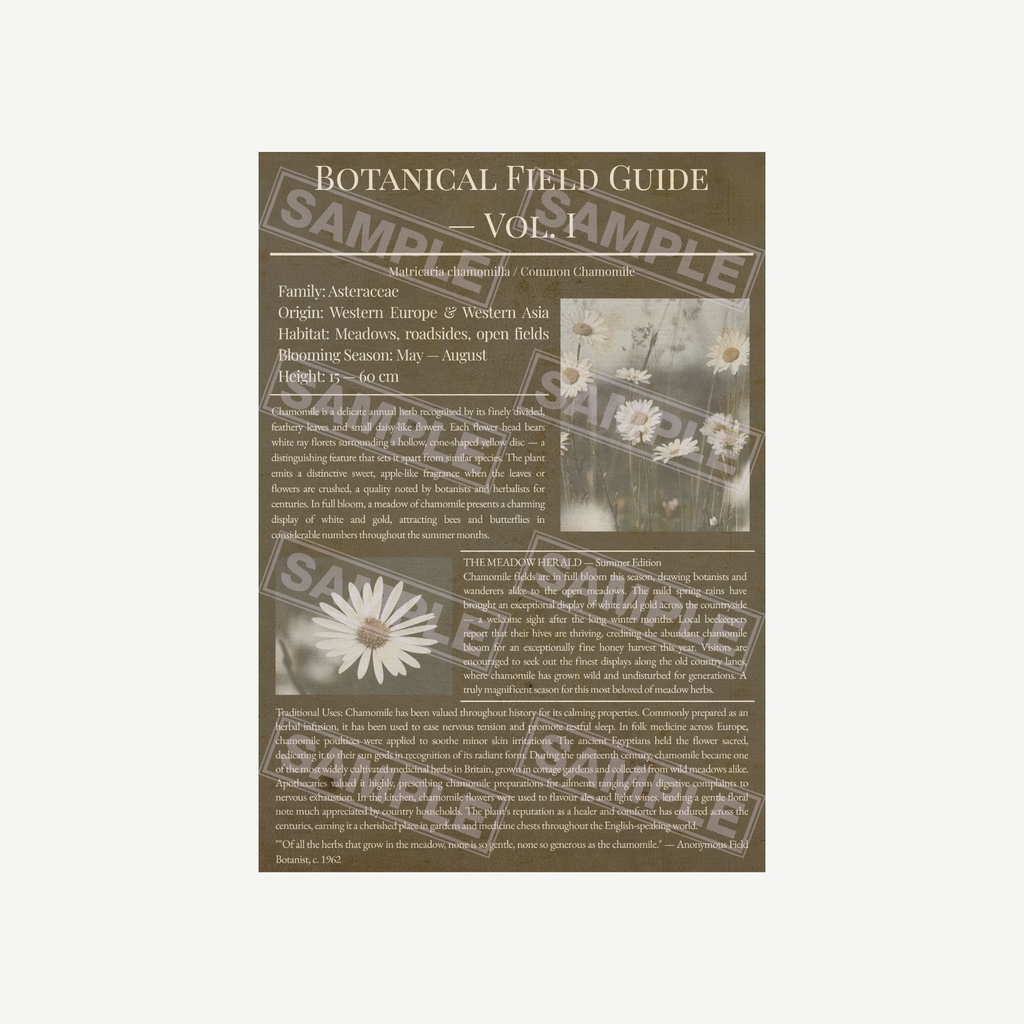 ラッピングペーパー カモミール 3色セット