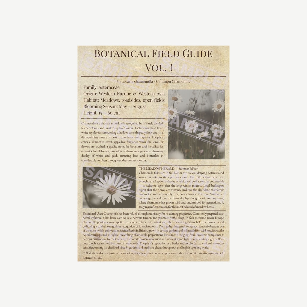 ラッピングペーパー カモミール 3色セット