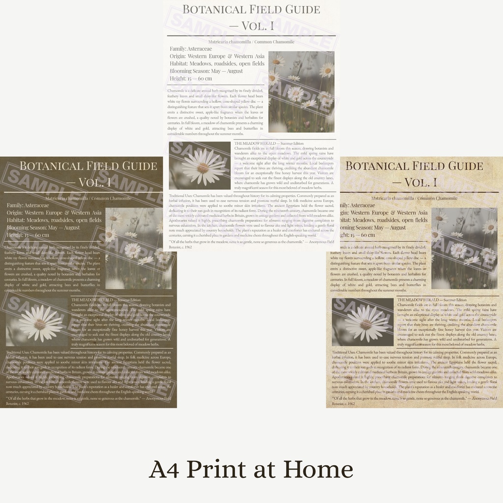 ラッピングペーパー カモミール ３色セット