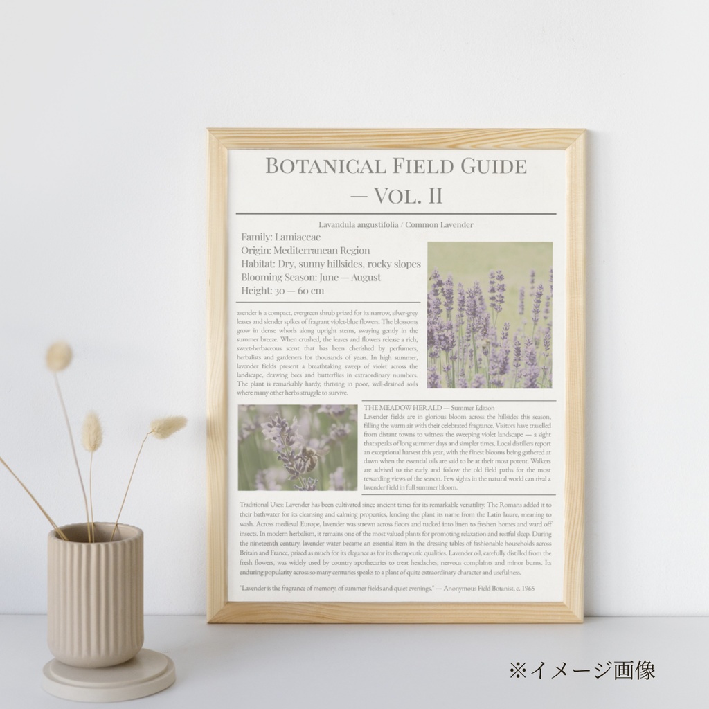 ラッピングペーパーラベンダー3色セット