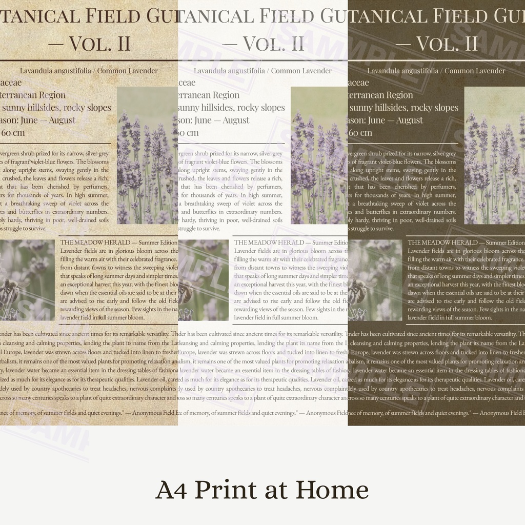 ラッピングペーパーラベンダー３色セット