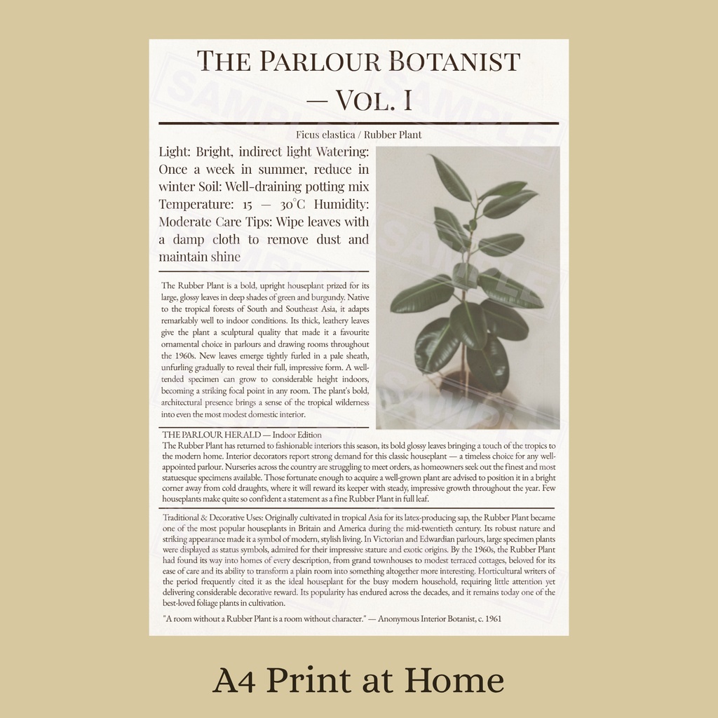 ラッピングペーパー ゴムの木【白】