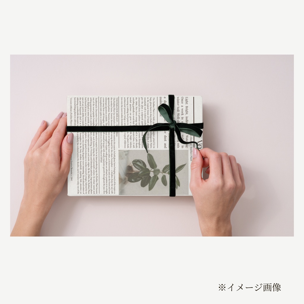 ラッピングペーパー ゴムの木【白】