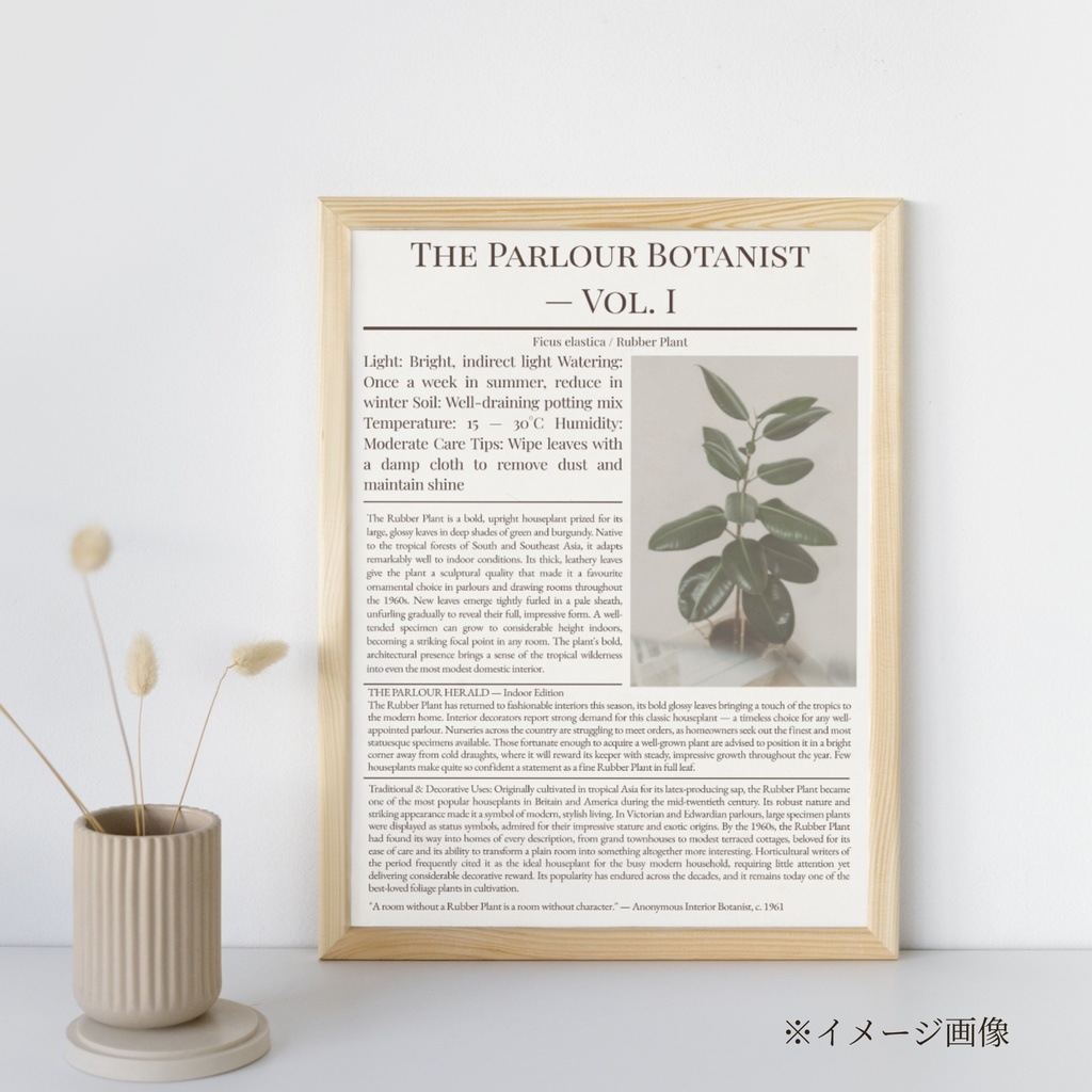 ラッピングペーパー ゴムの木【白】