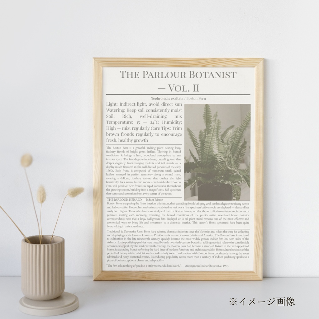 ラッピングペーパー ボストンファーン 【白】