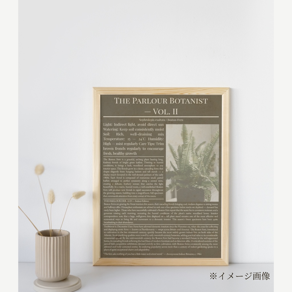 ラッピングペーパー ボストンファーン3色セット