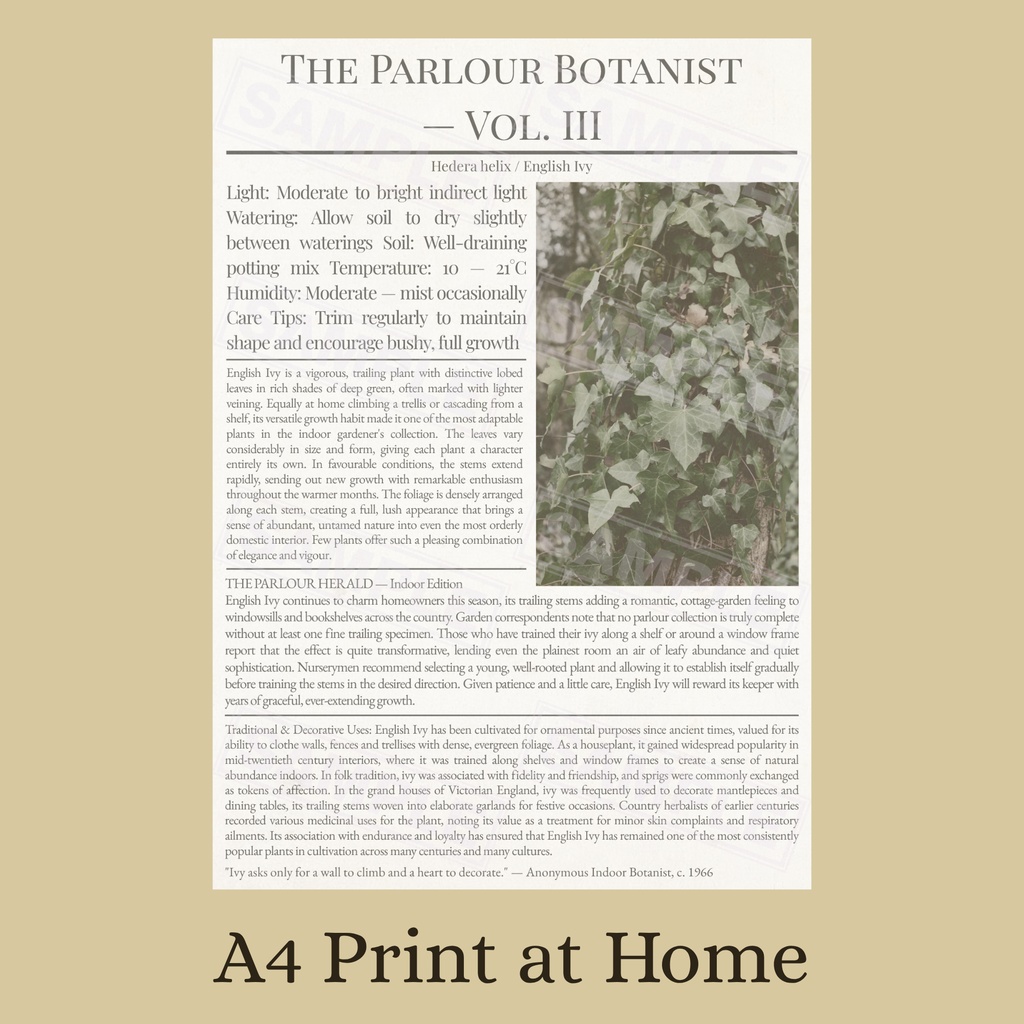 ラッピングペーパー アイビー【白】