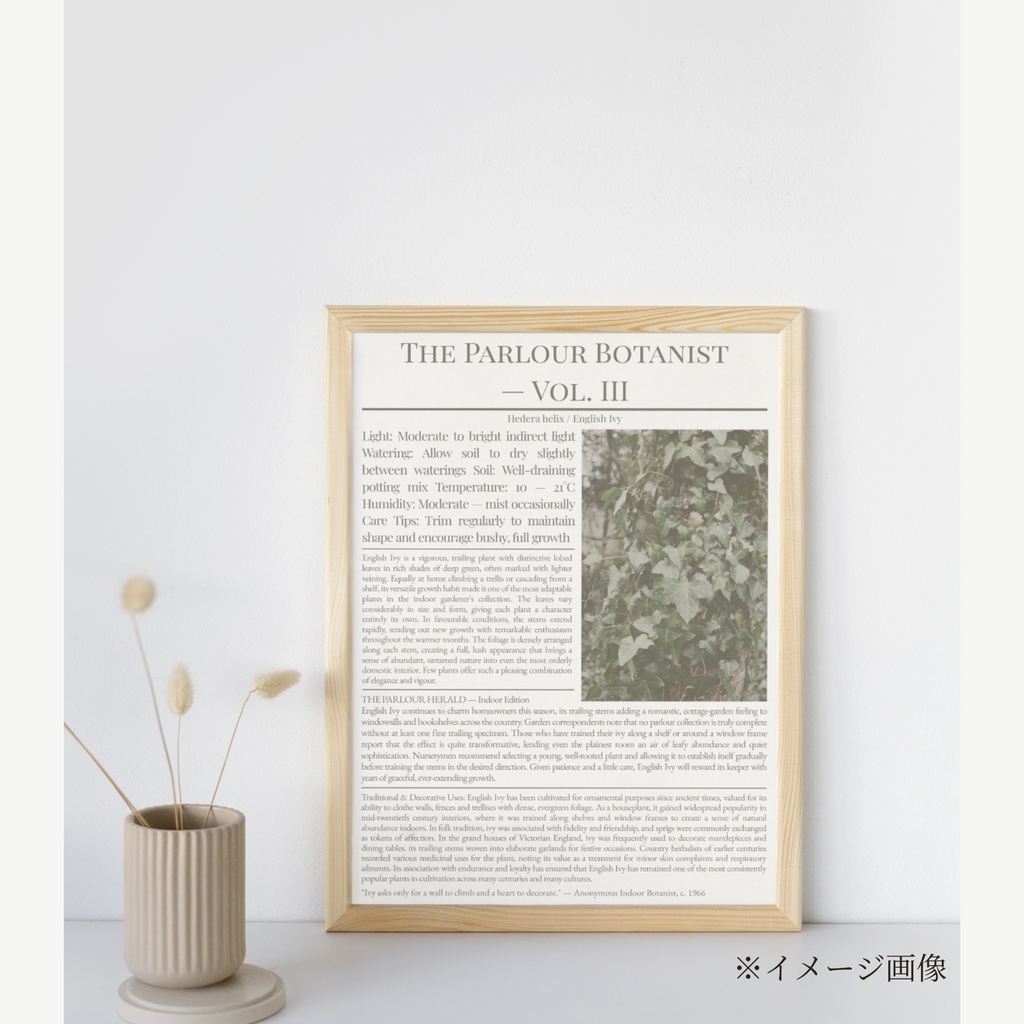 ラッピングペーパー アイビー【白】