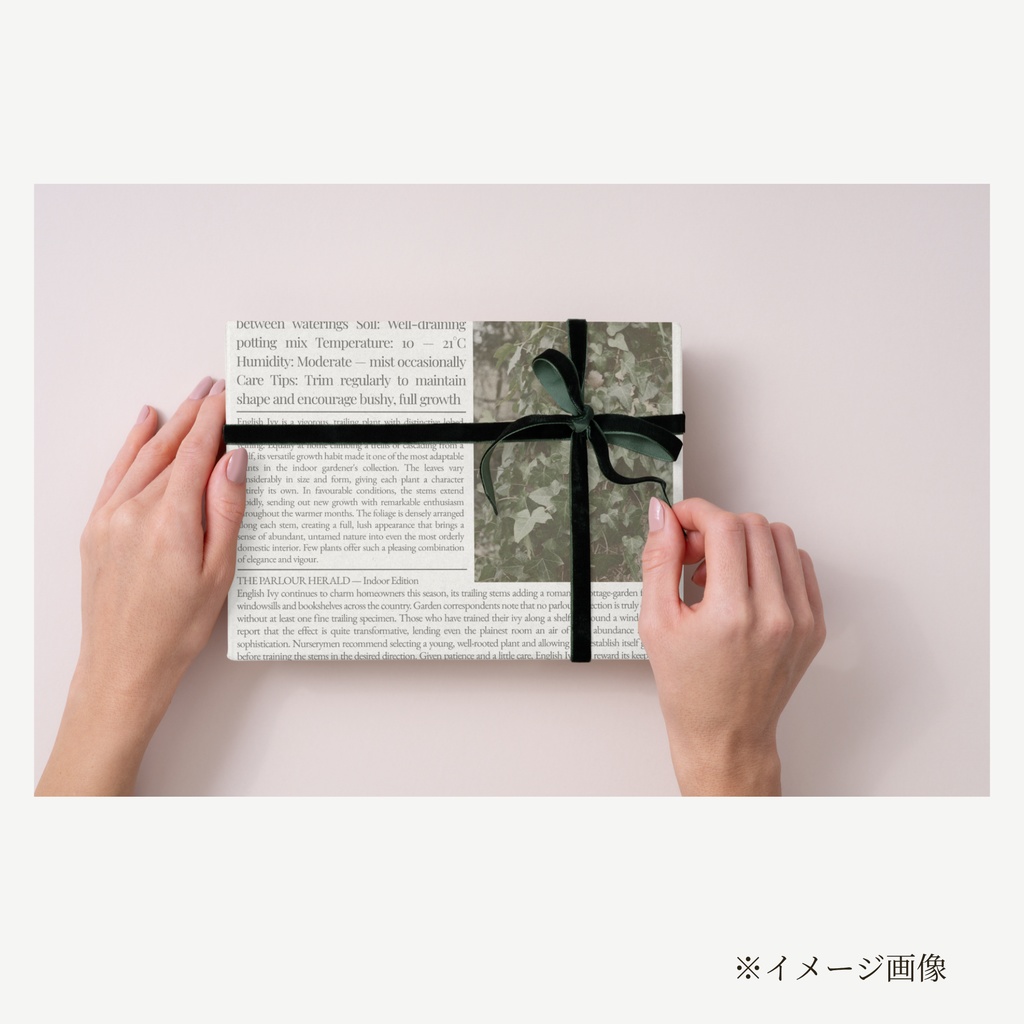 ラッピングペーパー アイビー【白】