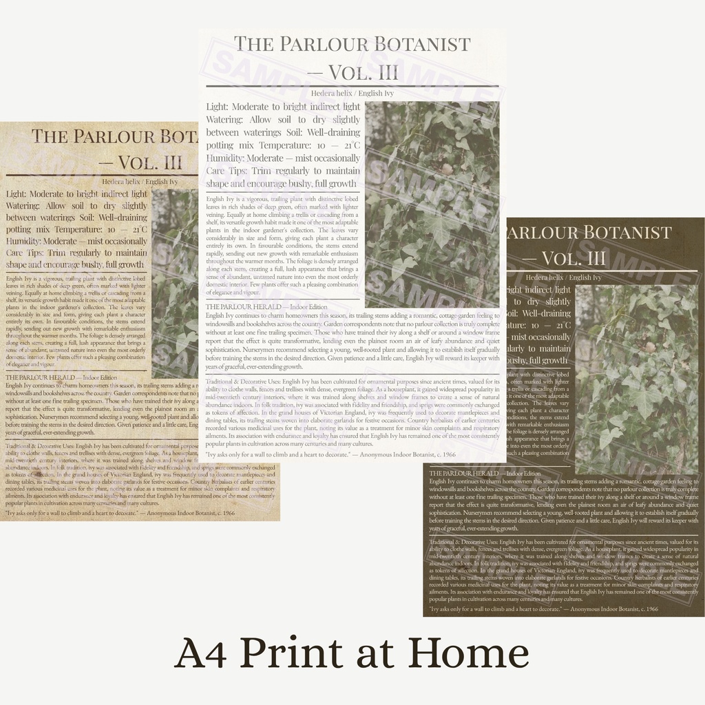 ラッピングペーパー アイビー3色セット